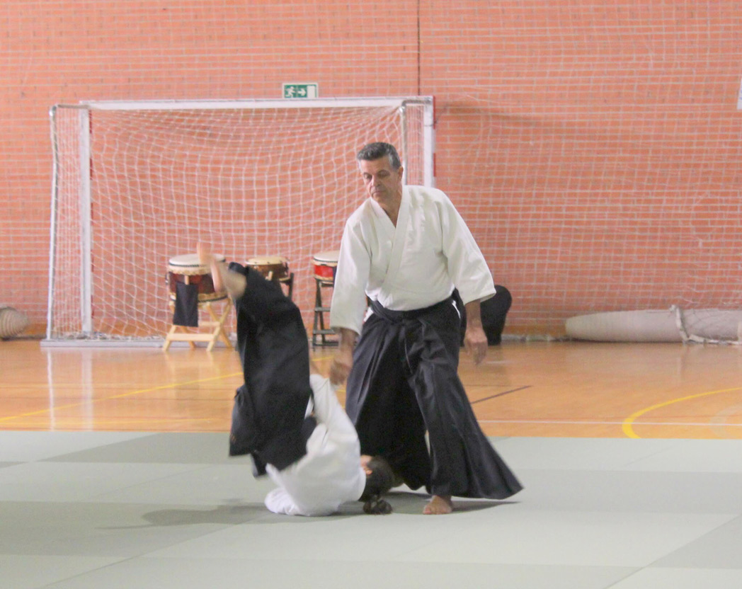 Asociación de Aikido Spain Aikikai